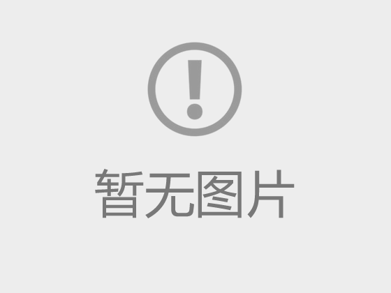 占位项